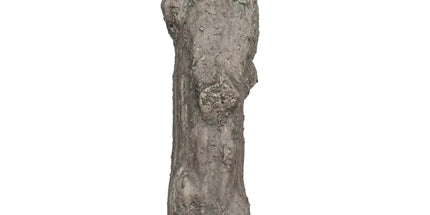 Nearly Natural Extra Large Olive Tree with Olives 285cm