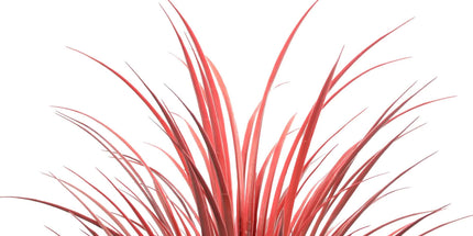 Burgundy Potted Artificial Long Grass (Yucca Grass) 115cm UV Resistant