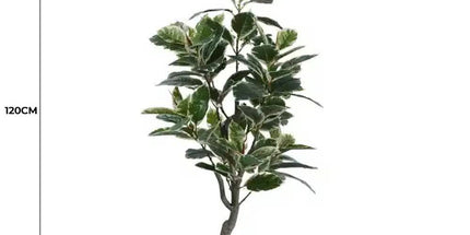 Artificial Bushy Variegated Ficus Tree (Rubber Tree) 120cm