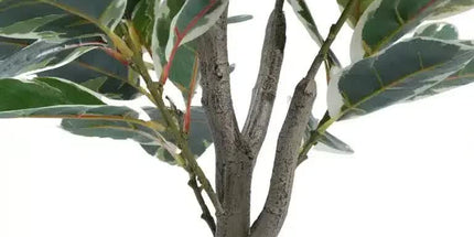 Artificial Bushy Variegated Ficus Tree (Rubber Tree) 120cm