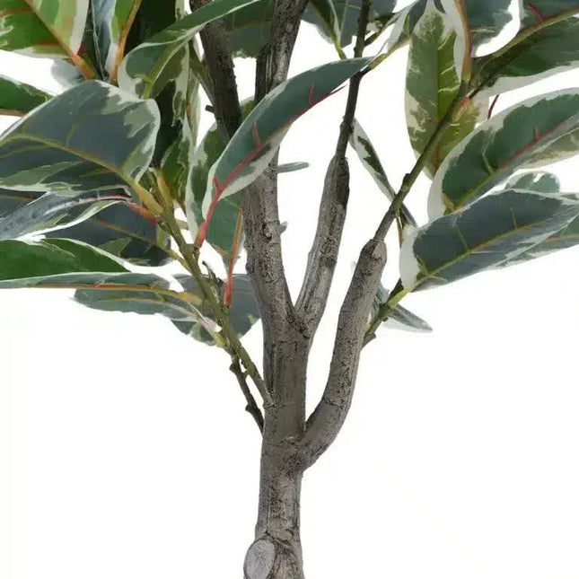 Artificial Bushy Variegated Ficus Tree (Rubber Tree) 120cm