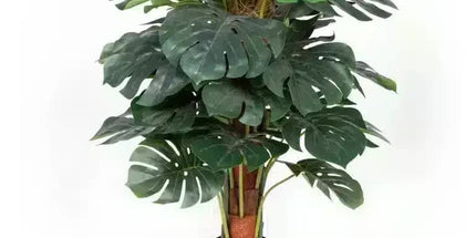 Premium Artificial Monstera Deliciosa Tree 100cm