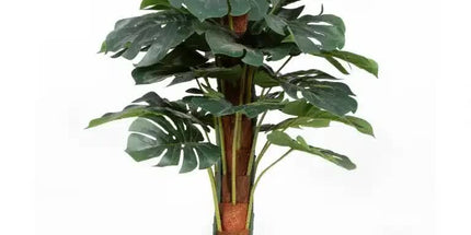 Premium Artificial Monstera Deliciosa Tree 100cm