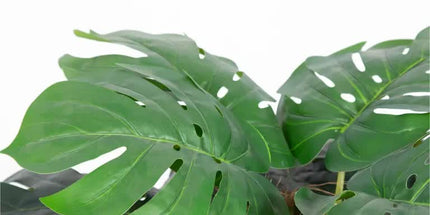 Premium Artificial Monstera Deliciosa Tree 100cm