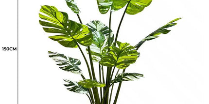Premium Artificial Potted Monstera Albo 150cm