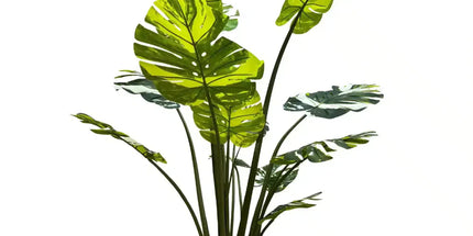 Premium Artificial Potted Monstera Albo 150cm
