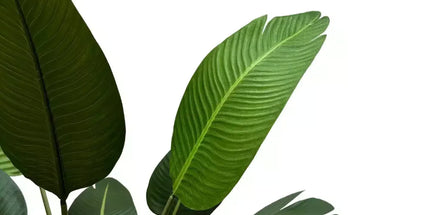 Grand Artificial Potted Travellers Palm (Banana Palm Tree) 120cm