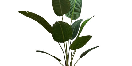 Grand Artificial Potted Travellers Palm (Banana Palm Tree) 120cm