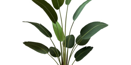 Grand Artificial Potted Travellers Palm (Banana Palm Tree) 180cm