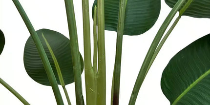 Grand Artificial Potted Travellers Palm (Banana Palm Tree) 180cm