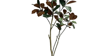 Potted Artificial 180cm Magnolia Tree