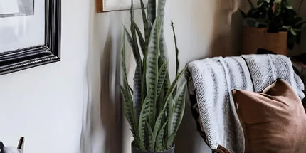Artificial Snake Plant Sansevieria UV Resistant 90cm