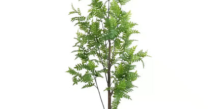 Premium Real Touch Artificial Bracken Palm Tree 180cm
