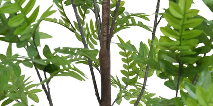 Premium Real Touch Artificial Bracken Palm Tree 180cm
