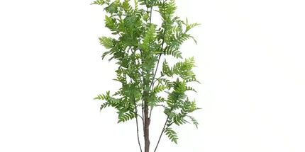 Premium Real Touch Artificial Bracken Palm Tree 180cm