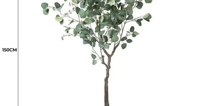 Artificial Eucalyptus Tree (Red Box Eucalyptus Polyanthemos) 150cm