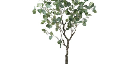 Artificial Eucalyptus Tree (Red Box Eucalyptus Polyanthemos) 150cm