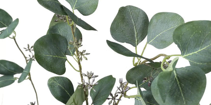 Artificial Eucalyptus Tree (Red Box Eucalyptus Polyanthemos) 150cm