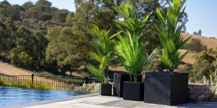 Real Touch Artificial Phoenix Palm Tree UV Resistant 135cm