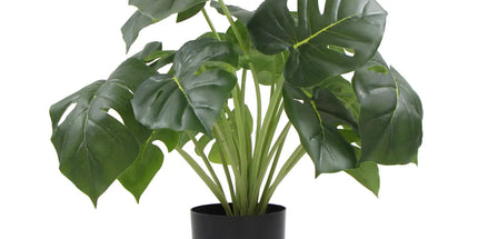 Dense Potted Artificial Monstera Deliciosa Plant With Real Touch Leaves 50cm