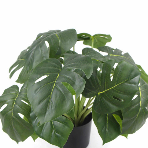 Dense Potted Artificial Monstera Deliciosa Plant