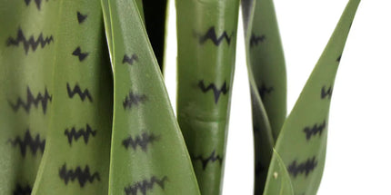 Artificial Snake Plant Sansevieria UV Resistant 85cm