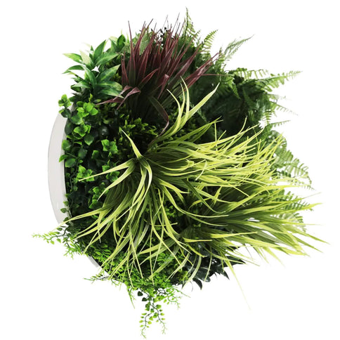 50cm White Grassy Artificial Green Wall Disc White Frame