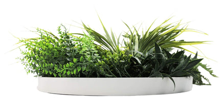 Slimline Artificial Green Wall Disc Art 50cm White Grassy UV Resistant (White)