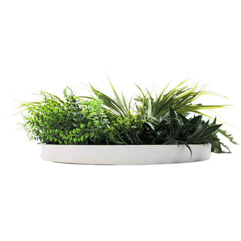 50cm White Grassy Artificial Green Wall Disc White Frame