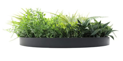 Slimline Artificial Green Wall Disc Art 50cm Grassy Fern Fields UV Resistant (Black)