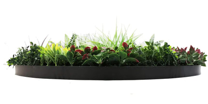 Slimline Artificial Green Wall Disc Art 100cm Colour Fresh UV Resistant (Black)