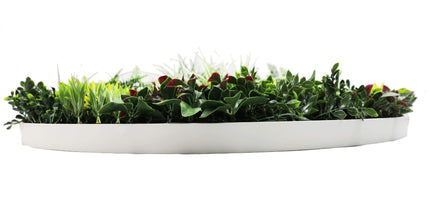 Slimline Artificial Green Wall Disc Art 100cm Colour Fresh UV Resistant (White)