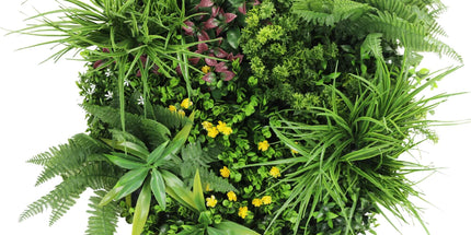 Slimline Artificial Green Wall Disc Art 60cm Country Fern UV Resistant (Black)