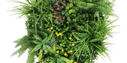 Slimline Artificial Green Wall Disc Art 60cm Country Fern UV Resistant (Black)