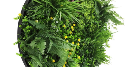 Slimline Artificial Green Wall Disc Art 80cm Country Fern UV Resistant (Black)