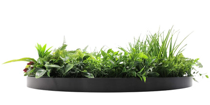 Slimline Artificial Green Wall Disc Art 80cm Country Fern UV Resistant (Black)