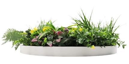 Slimline Artificial Green Wall Disc Art 60cm Country Fern UV Resistant (White)