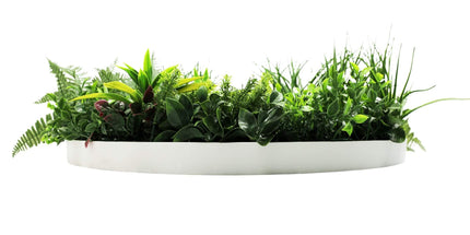 Slimline Artificial Green Wall Disc Art 80cm Country Fern UV Resistant (White)