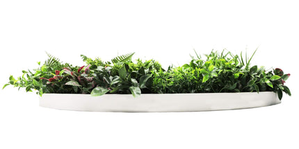 Slimline Artificial Green Wall Disc Art 100cm Country Fern UV Resistant (White)