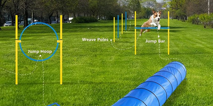 Foldable Dog Agility Training Tunnel