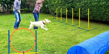 Foldable Dog Agility Training Tunnel