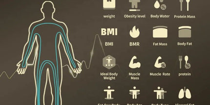 Smart Bioimpedance Scale with Hand Black