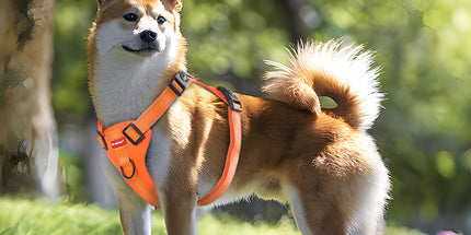 Reflective Dog Harness with Leash, No-Pull Vest Harness for Dogs, Adjustable Dog Vest with Handle, Walking Training Pet Harness L size