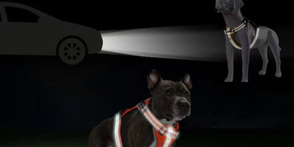 Reflective Dog Harness with Leash, No-Pull Vest Harness for Dogs, Adjustable Dog Vest with Handle, Walking Training Pet Harness L size