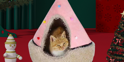 Festive Detachable Pet House - Cozy Pine Needle Wool Christmas Hat Design (S - 37x46cm)