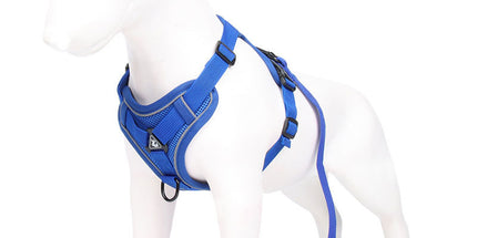 Blue Reflective Mesh Dog Harness and Leash Set - Adjustable No-Pull Vest - L
