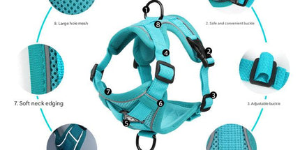 Blue Reflective Mesh Dog Harness and Leash Set - Adjustable No-Pull Vest - L