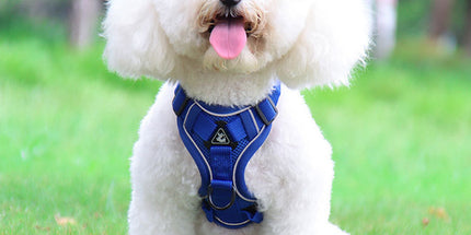Blue Reflective Mesh Dog Harness and Leash Set - Adjustable No-Pull Vest - XL