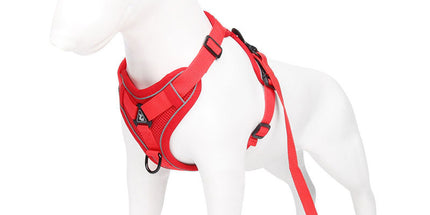 Red Reflective Mesh Dog Harness and Leash Set - Adjustable No-Pull Vest - S