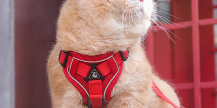 Red Reflective Mesh Dog Harness and Leash Set - Adjustable No-Pull Vest - L